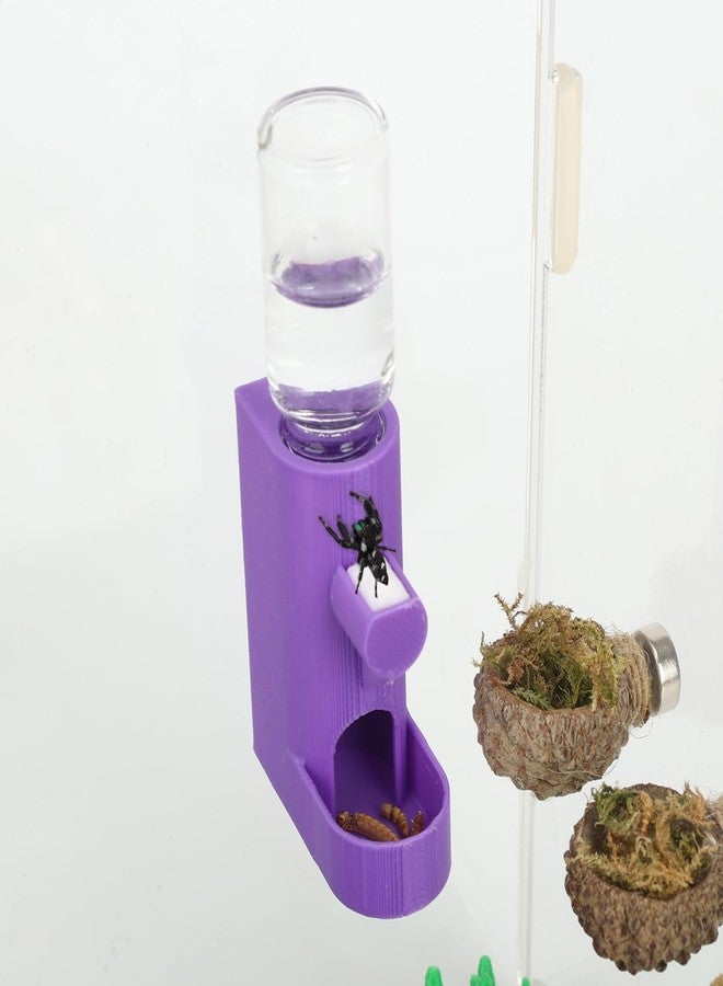 Daerky Small Animal Water Feeder, Magnetic Hanging Feeder & Hidden Cave - Accessories for Jumping Spiders, Wolf Spiders, Mantises, Arboreal Animals & Other Small Creatures - 5ML Capacity (Purple) - Image 1